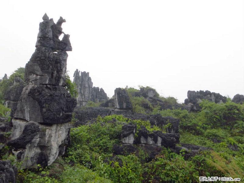 桂林旅游名城景点:灌阳文市石林 - 游山玩水 - 承德生活社区 - 承德28生活网 chengde.28life.com