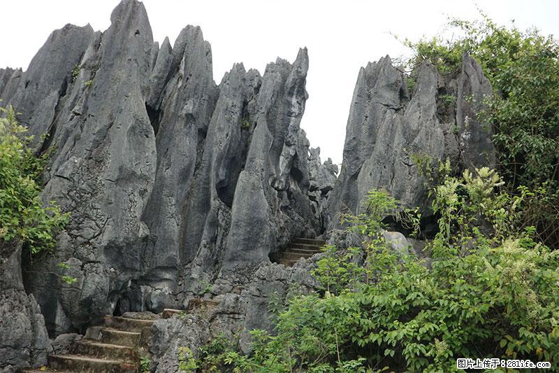桂林旅游名城景点:灌阳文市石林 - 游山玩水 - 承德生活社区 - 承德28生活网 chengde.28life.com