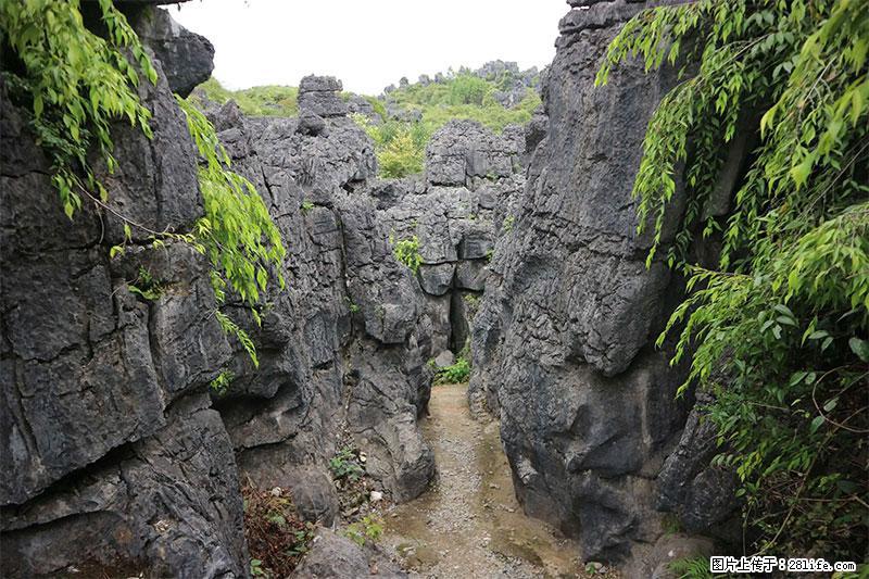 桂林旅游名城景点:灌阳文市石林 - 游山玩水 - 承德生活社区 - 承德28生活网 chengde.28life.com