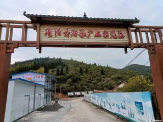 【灌阳县油茶产业示范区】一个有着充实的精神生活的人,对待身外之物自会有一种淡泊的态度 - 承德28生活网 chengde.28life.com