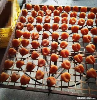 广西桂林平乐桥亭【柿饼之乡】2025年纯手工制作、无任何添加剂的第一批柿饼准备上市了，欢迎联系订购！ - 承德28生活网 chengde.28life.com