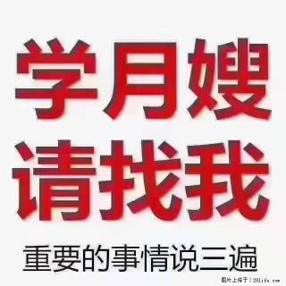 【招聘】月嫂，上海徐汇区 - 承德28生活网 chengde.28life.com