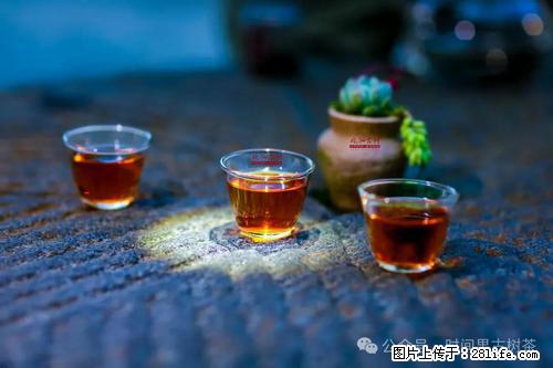 时间果百年古树2025年春红茶 - 购物交流 - 承德生活社区 - 承德28生活网 chengde.28life.com