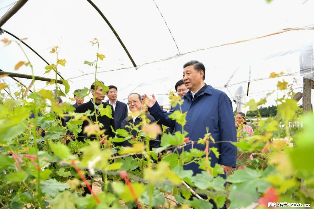 习近平赴广西考察调研 - 承德生活资讯 - 承德28生活网 chengde.28life.com