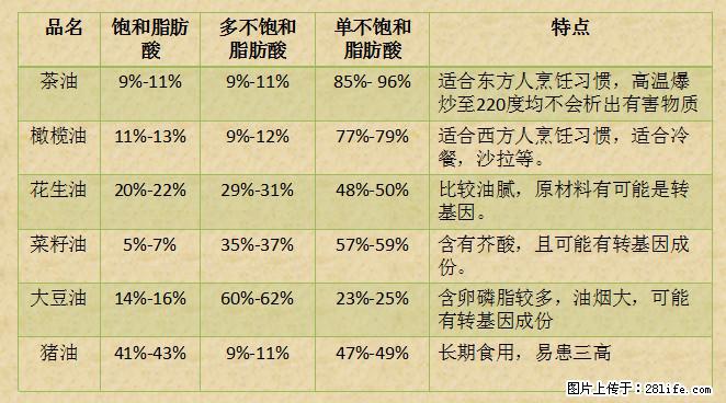 揭秘茶油的5大核心营养成分!被称为人体健康的“守护盾”! - 承德生活资讯 - 承德28生活网 chengde.28life.com