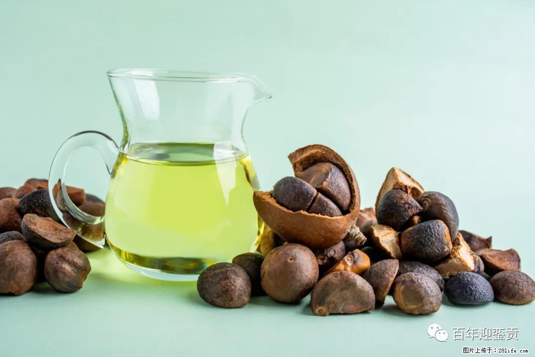 世界没有真相，只有认知，最好的食用油是中国的山茶油！ - 承德生活资讯 - 承德28生活网 chengde.28life.com