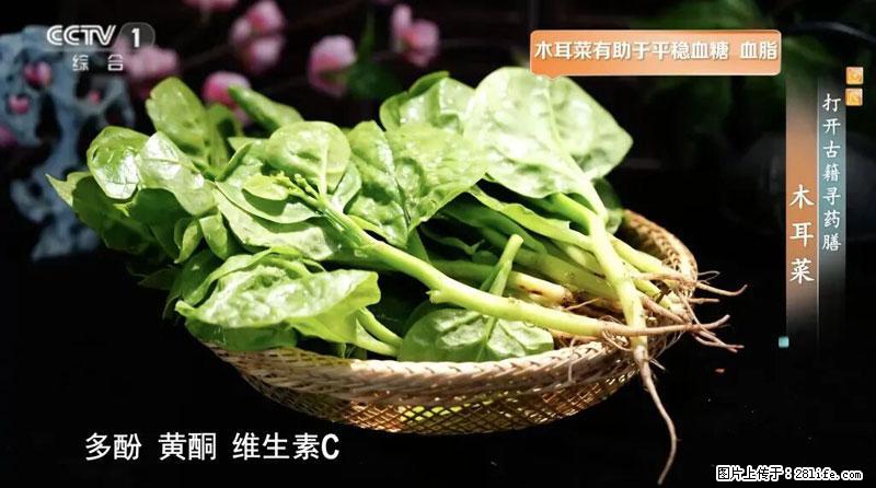 比牛奶补钙还厉害！凉血解毒、稳血糖...这菜冬天必吃，很多人却当草 - 承德生活资讯 - 承德28生活网 chengde.28life.com