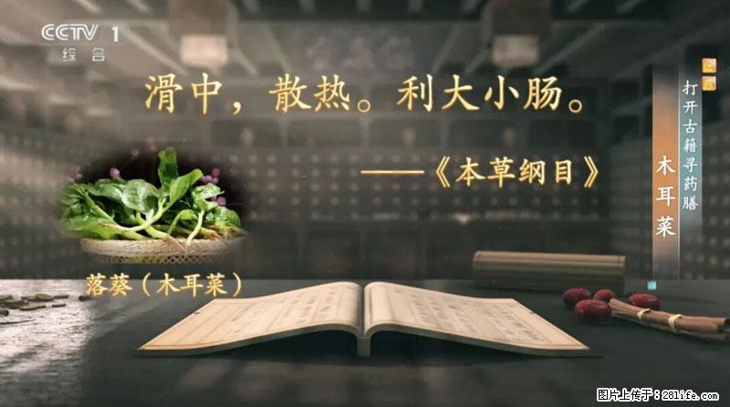 比牛奶补钙还厉害！凉血解毒、稳血糖...这菜冬天必吃，很多人却当草 - 承德生活资讯 - 承德28生活网 chengde.28life.com