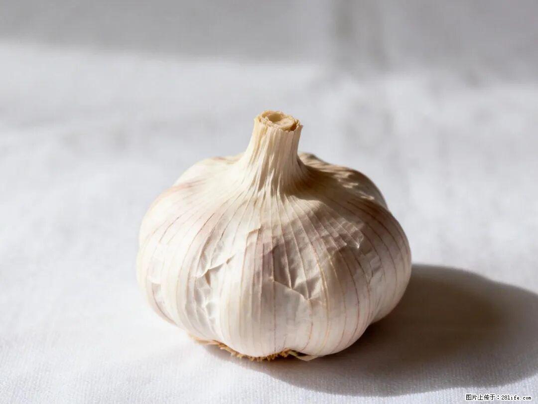 关于大蒜，除了“天然抗生素”，这4个谣言更该警惕! - 承德生活资讯 - 承德28生活网 chengde.28life.com