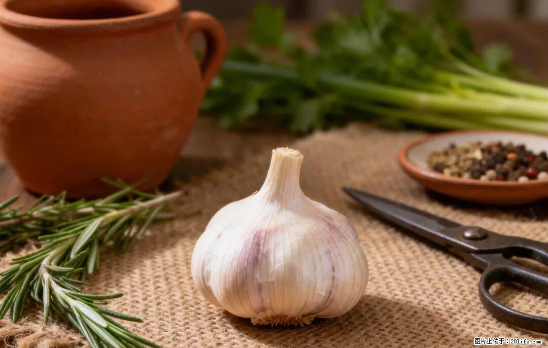 关于大蒜，除了“天然抗生素”，这4个谣言更该警惕! - 承德生活资讯 - 承德28生活网 chengde.28life.com