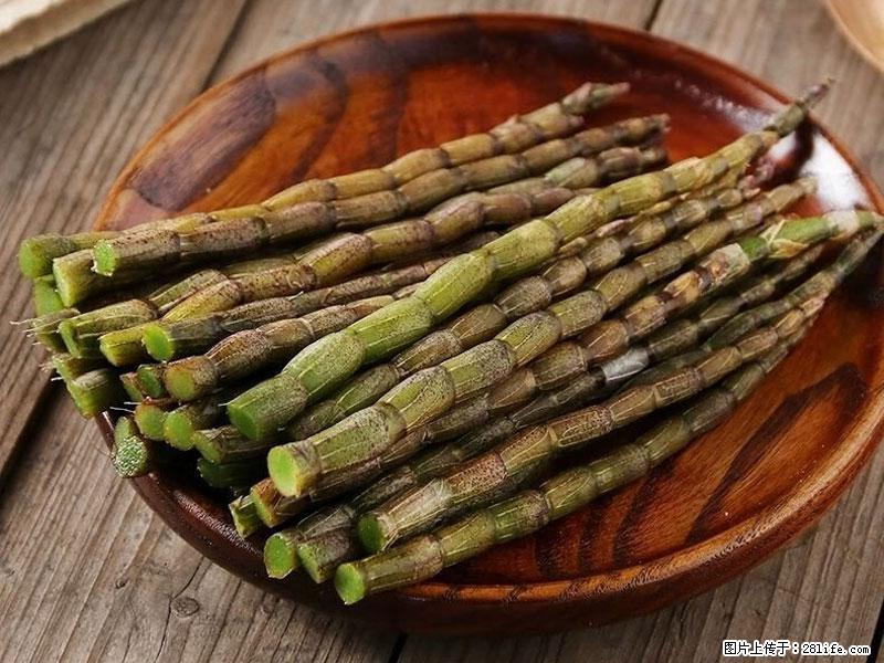 铁皮石斛的作用与功能主治 - 承德生活资讯 - 承德28生活网 chengde.28life.com