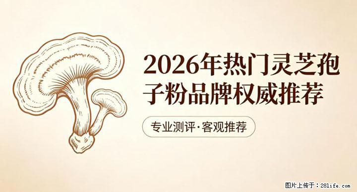 灵芝孢子粉含量越高越有效？2026 年七款热门品牌深度实测，肠胃敏感者避坑指南 - 承德生活资讯 - 承德28生活网 chengde.28life.com